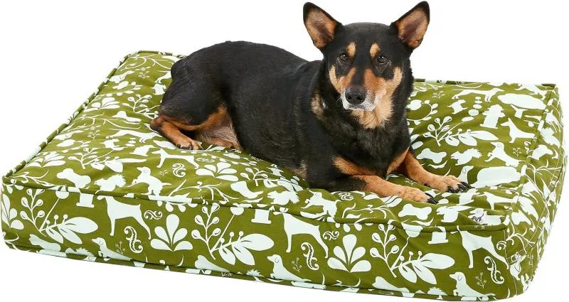 Molly Mutt Amarillo S - NLO