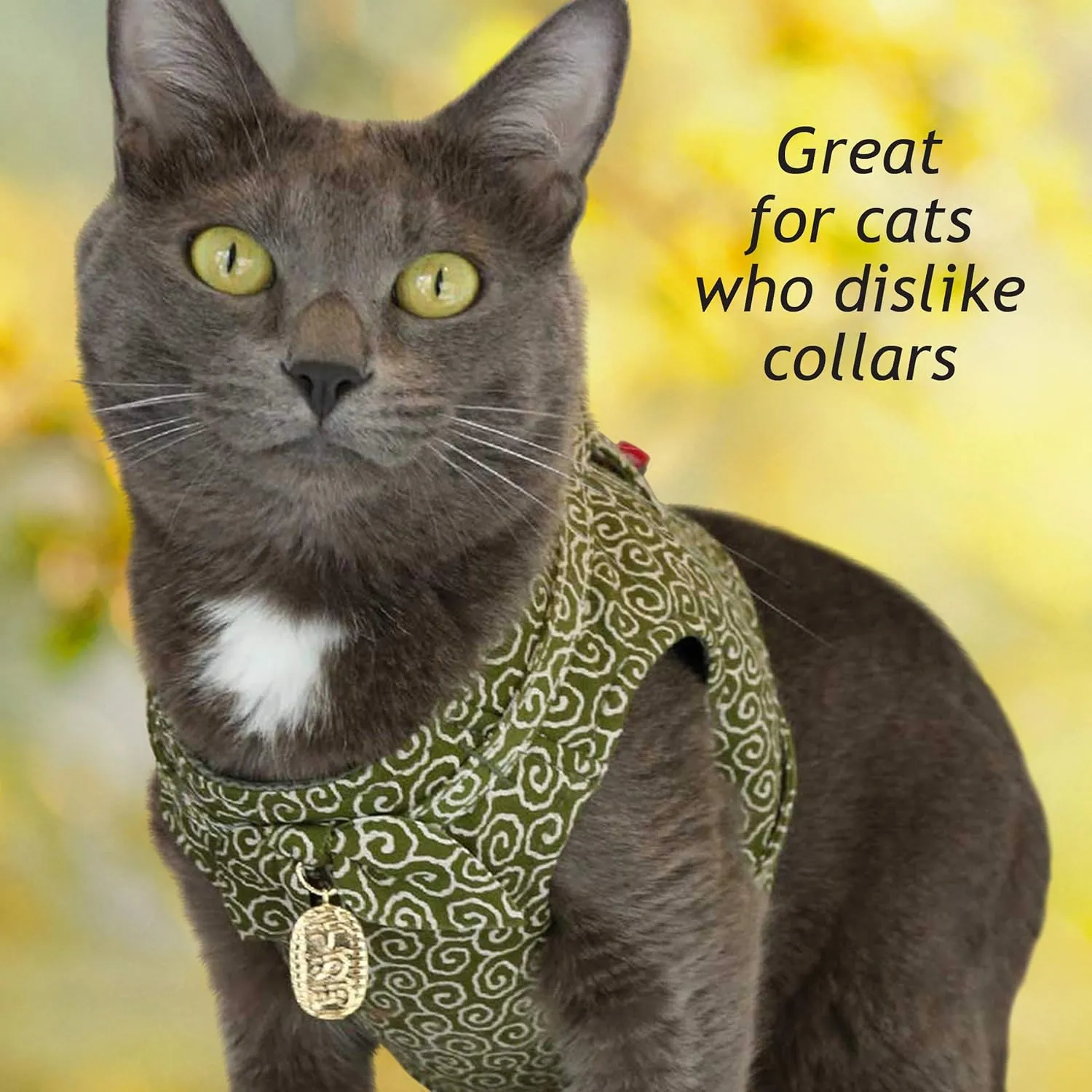 Ninja Cat (Red, Harness)