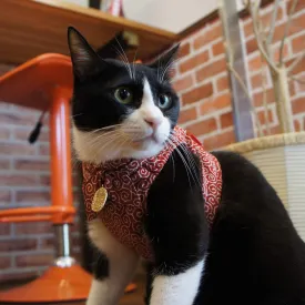 Ninja Cat (Red, Harness)