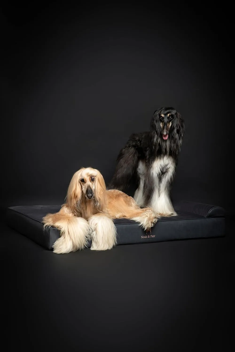 NOAH & PAW Giant Dog Bed XXL 55x45x11 Inch, Orthopedic Dog Beds, Eggshell Memory Foam Infused with Cooling Gel, Waterproof, Machine Washable, Includes Inner Cover (Faux Leather)