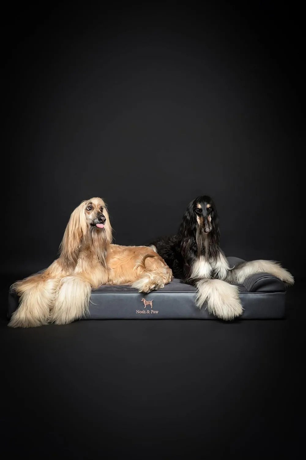 NOAH & PAW Giant Dog Bed XXL 55x45x11 Inch, Orthopedic Dog Beds, Eggshell Memory Foam Infused with Cooling Gel, Waterproof, Machine Washable, Includes Inner Cover (Faux Leather)