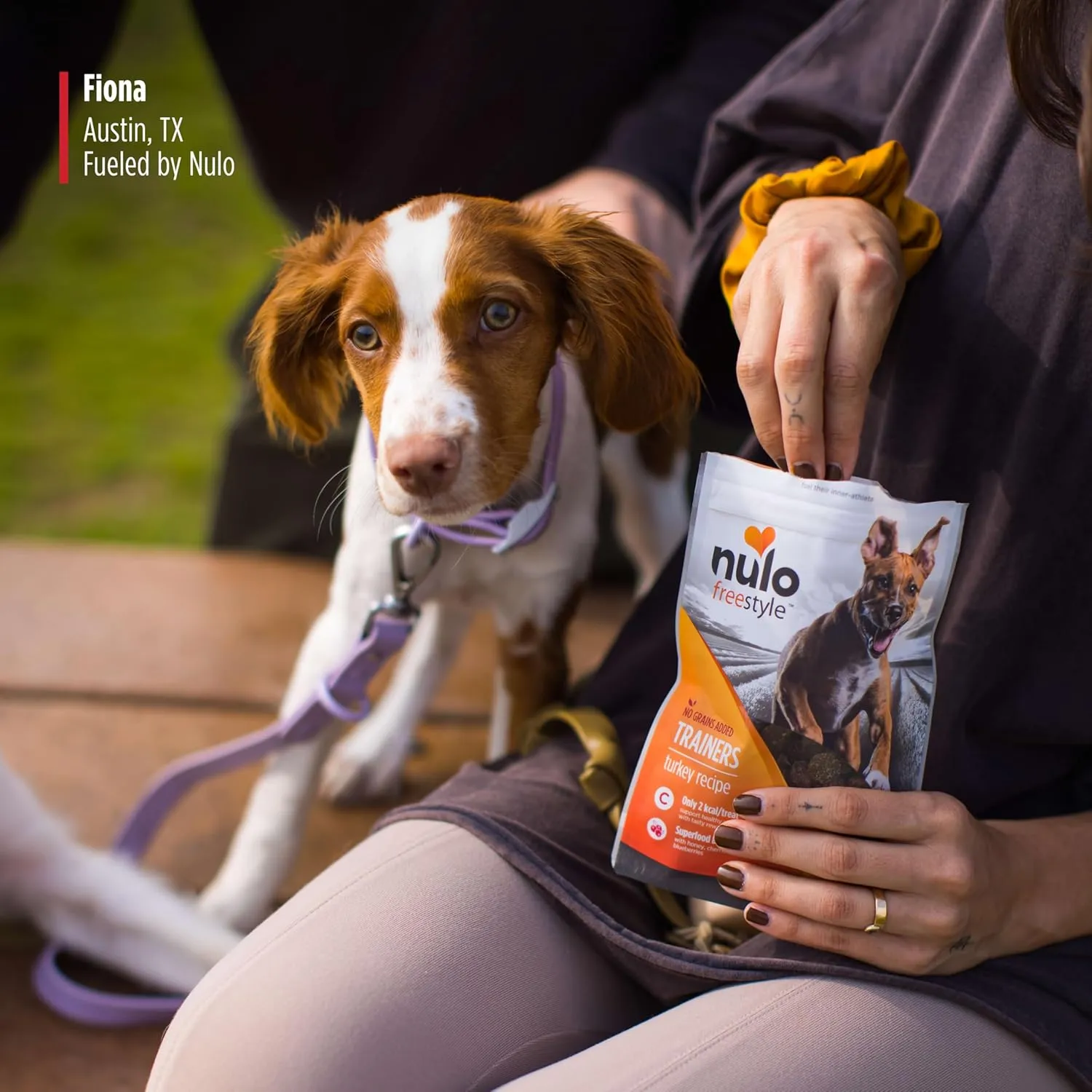 Nulo Freestyle Salmon Flavor Healthy Dog and Puppy Training Treats, 4 Ounce Pouch