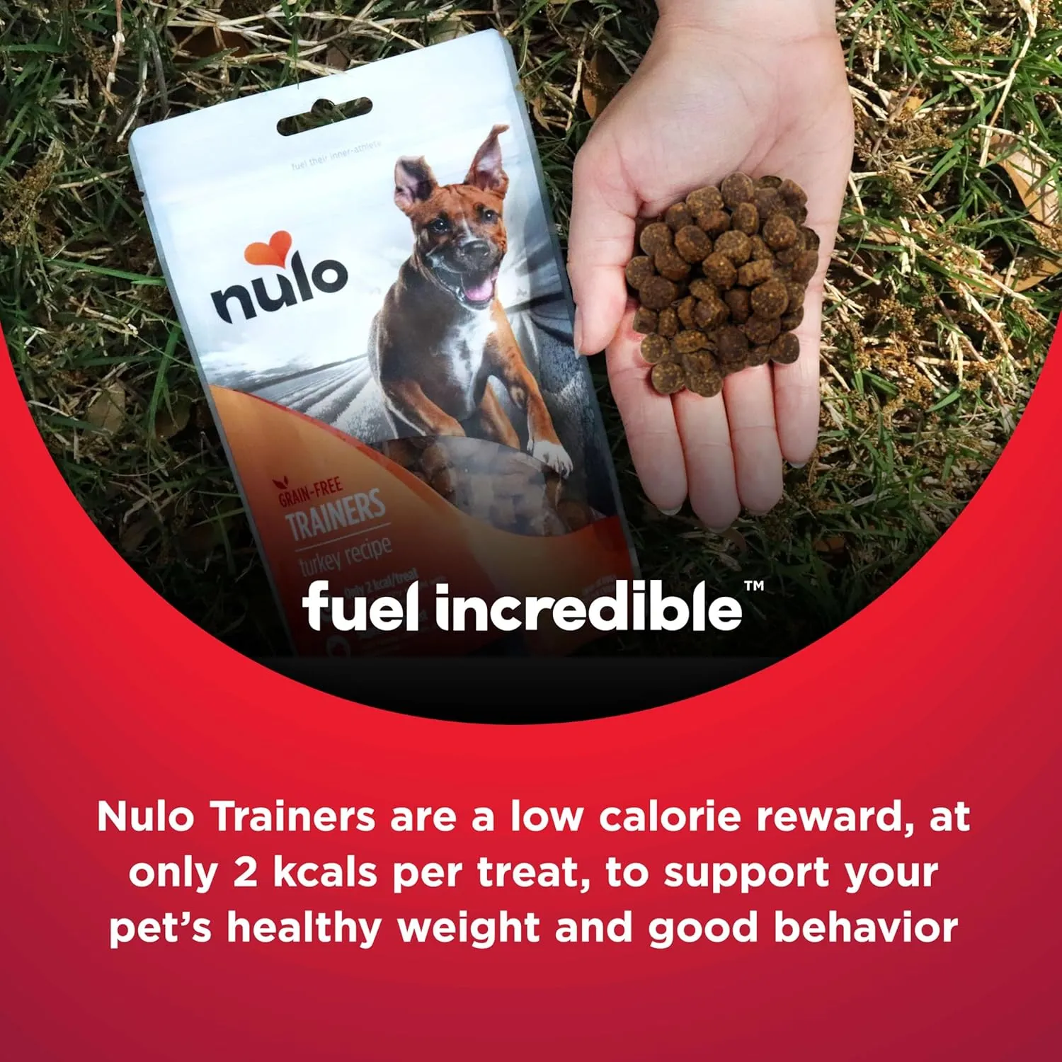 Nulo Freestyle Salmon Flavor Healthy Dog and Puppy Training Treats, 4 Ounce Pouch