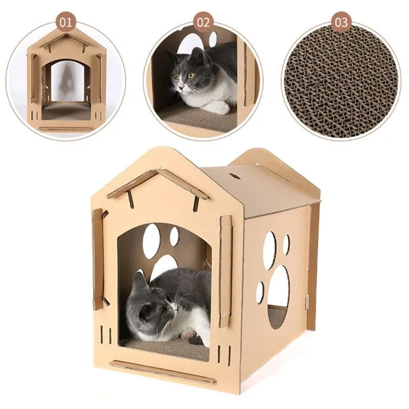Paper Carton Box Cat