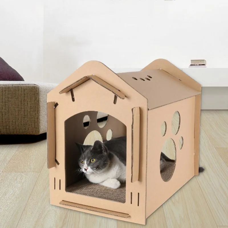 Paper Carton Box Cat
