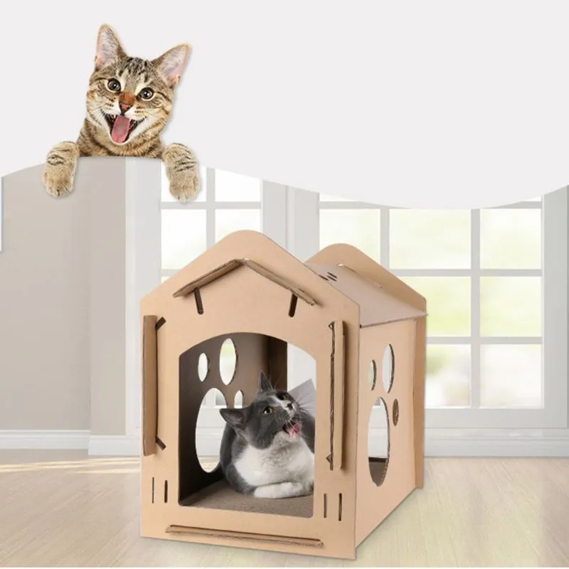 Paper Carton Box Cat