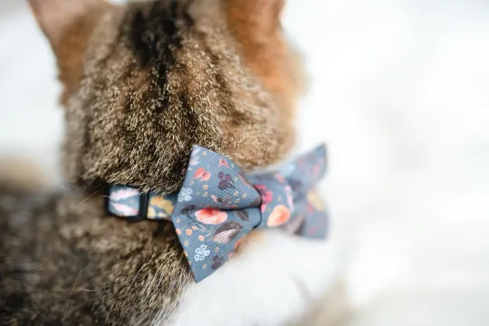 Personalized Cat Collar | Black Polka Dot Cat Collar | Duke & Fox®