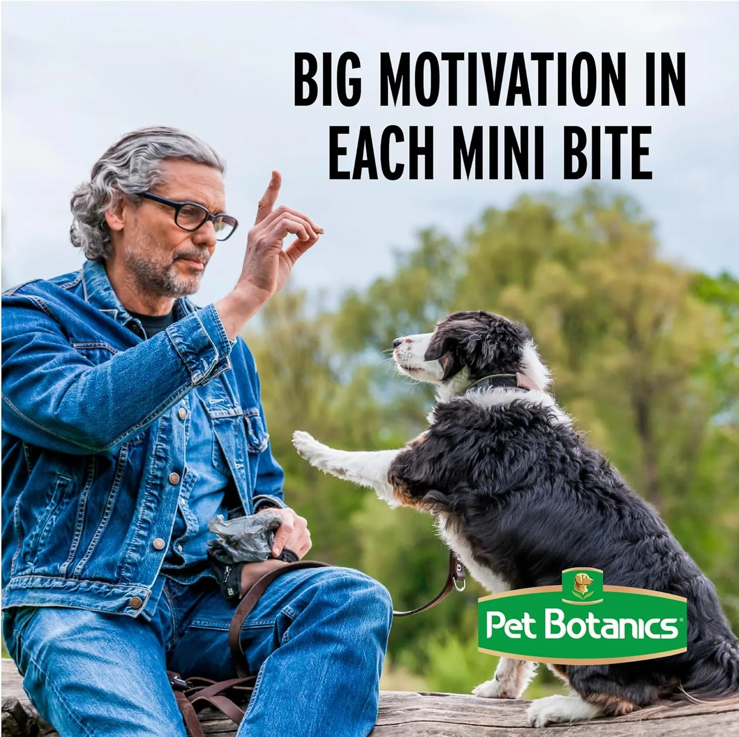 Pet Botanics Training Rewards Soft & Chewy Bacon Flavor Dog Treats (20 oz)