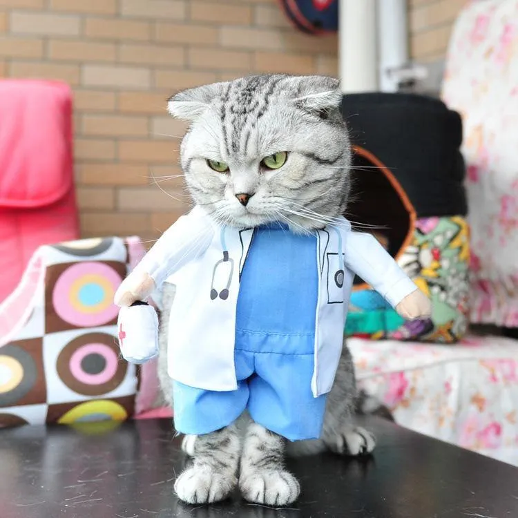 Pet Halloween Costumes