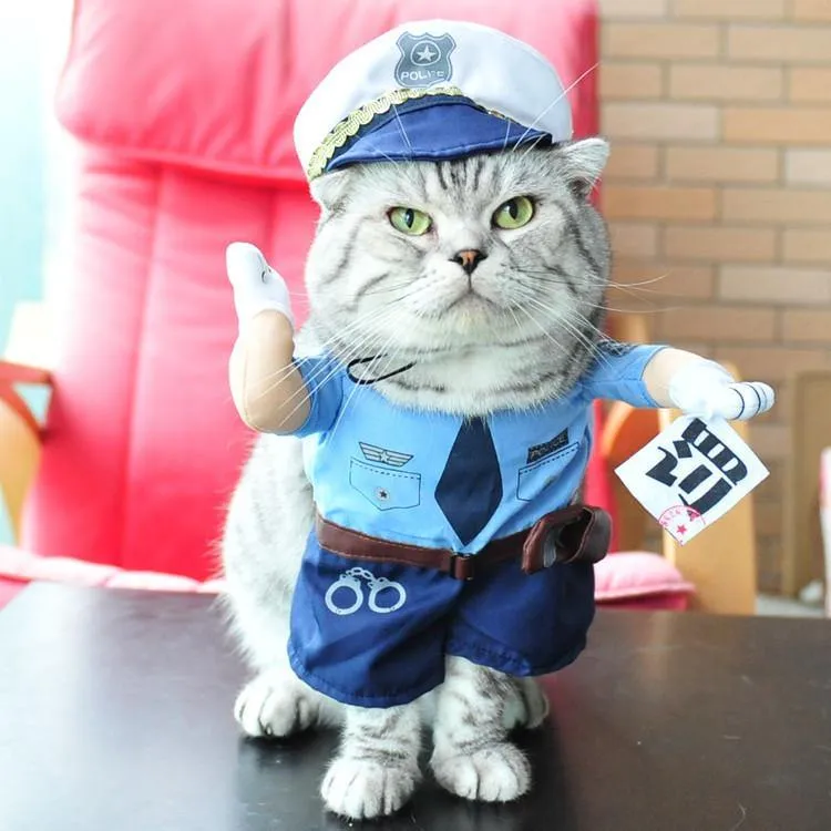 Pet Halloween Costumes