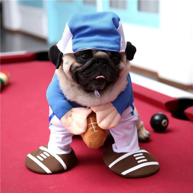 Pet Halloween Costumes