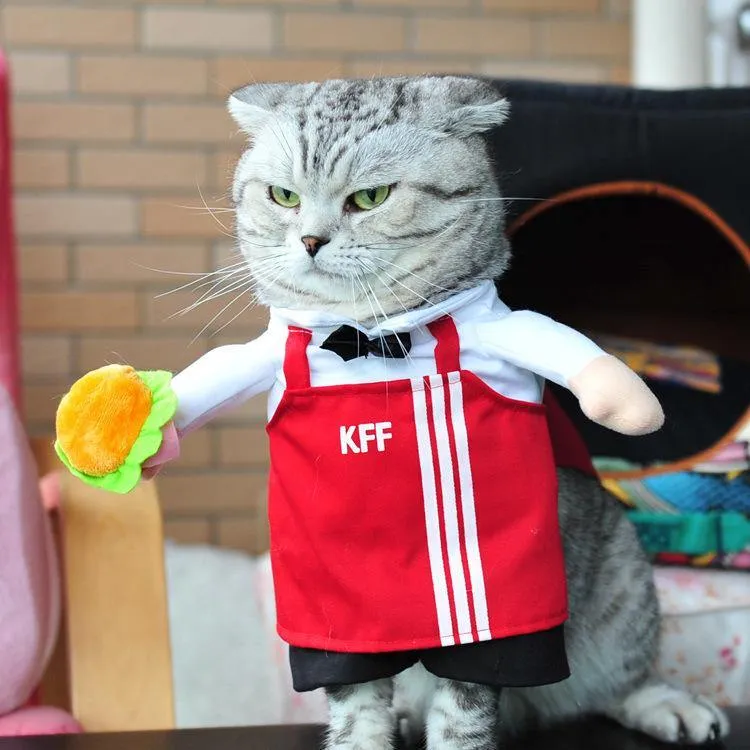 Pet Halloween Costumes