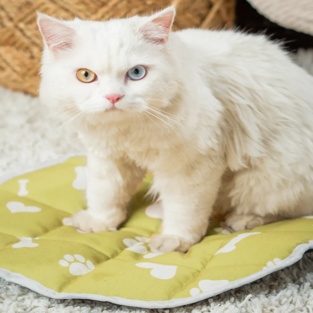 Pet Set Go Paws & Bones Heaven Mat for Cats (Green)