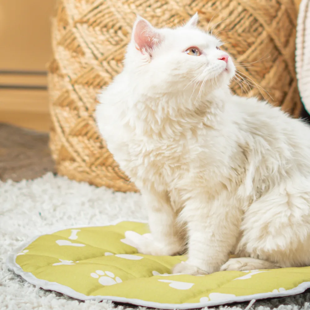 Pet Set Go Paws & Bones Heaven Mat for Cats (Green)