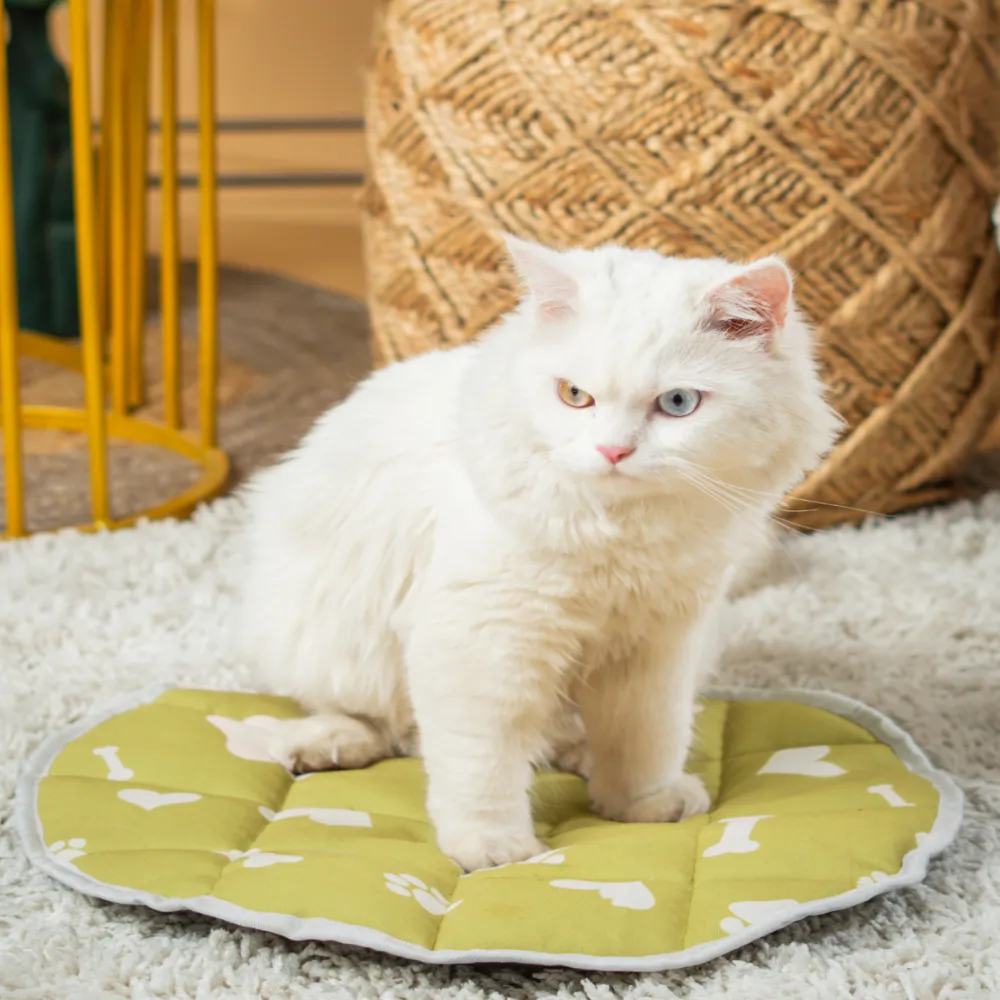 Pet Set Go Paws & Bones Heaven Mat for Cats (Green)