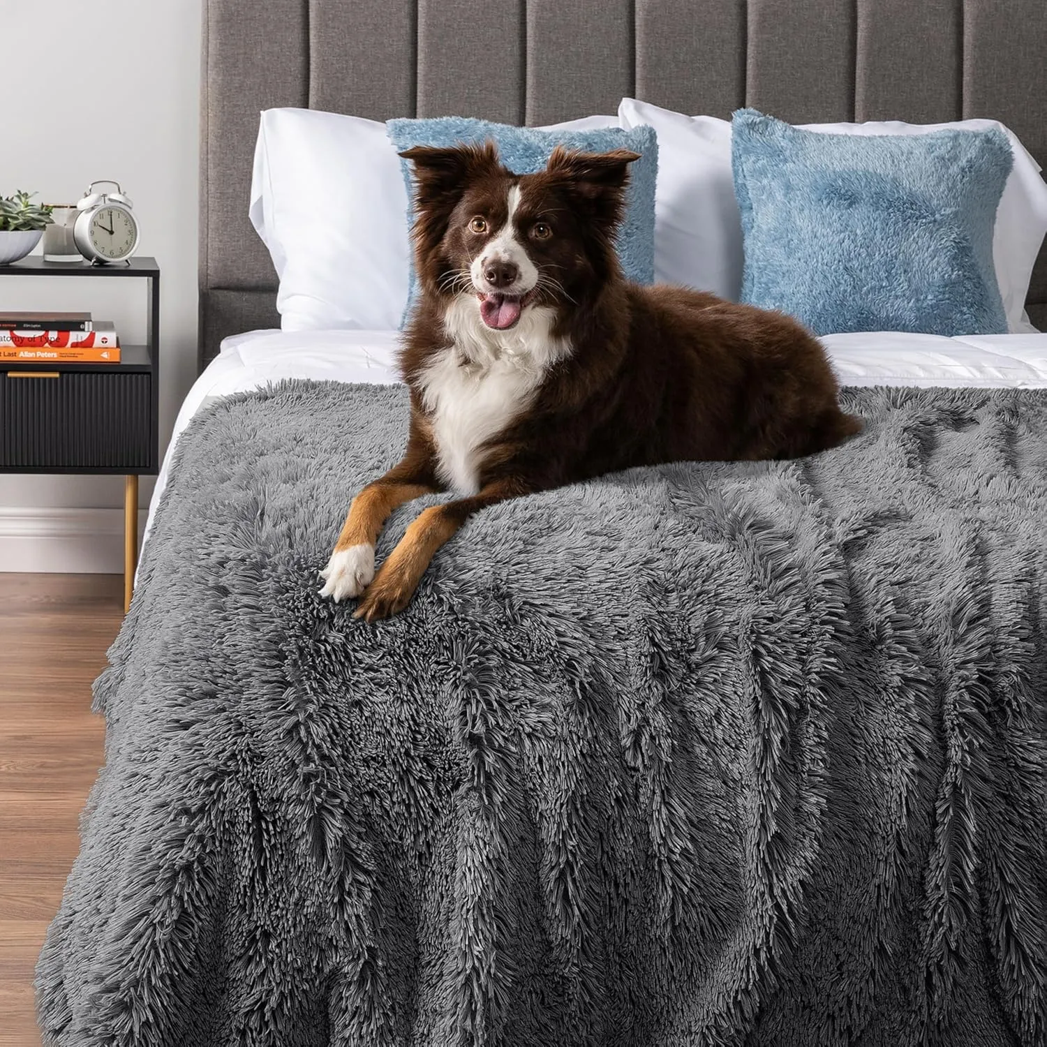 PetAmi Waterproof Dog Blanket for Medium Large Dogs, Calming Fleece Cat Blanket, Couch Protector Washable Sherpa Faux Fur Pet Throw for Puppy, Soft Reversible Leakproof 40x60 Gray