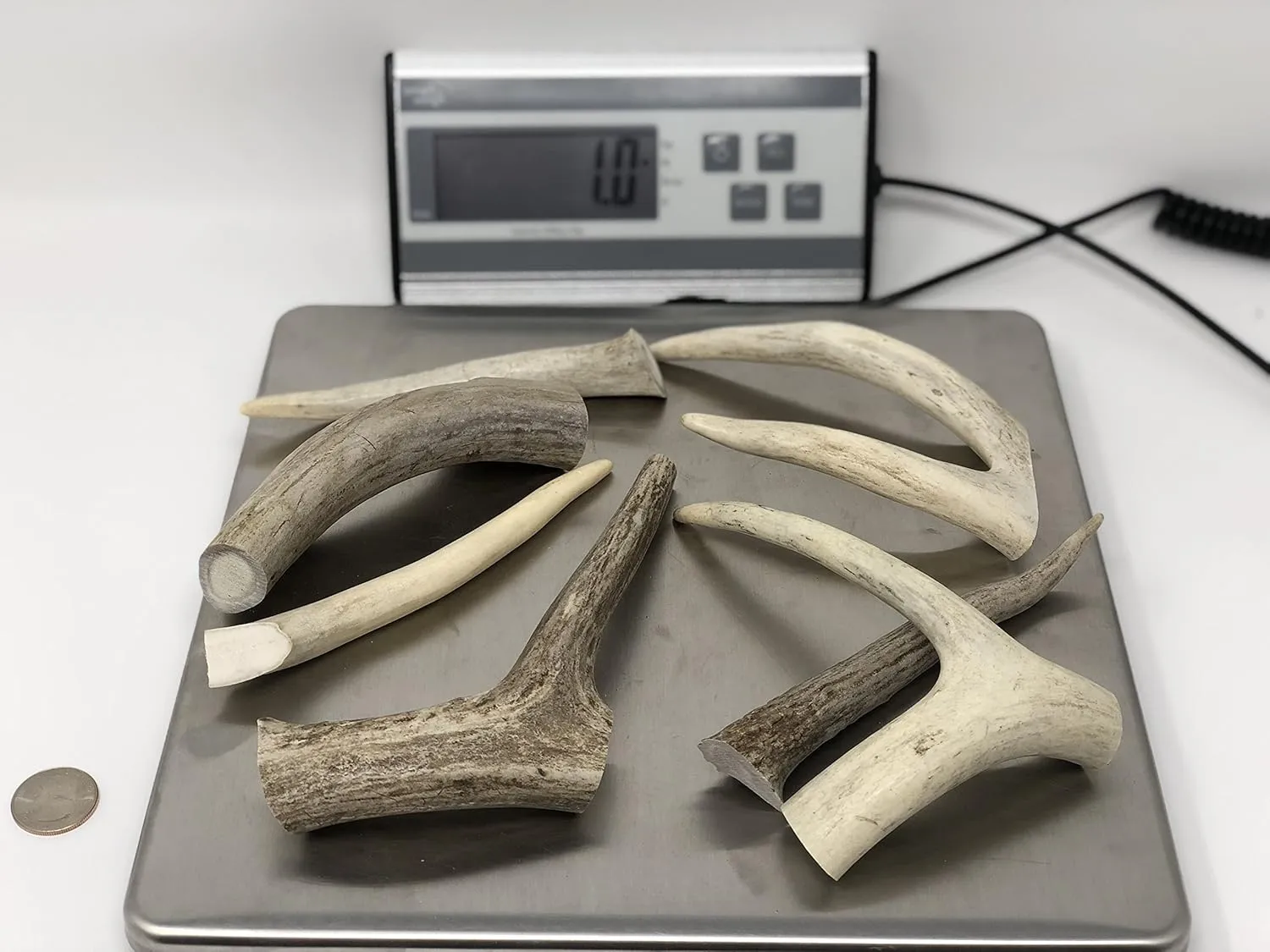 Premium Deer Antler Dog Chew Toys (1 LB Splits, Points, & Tines)