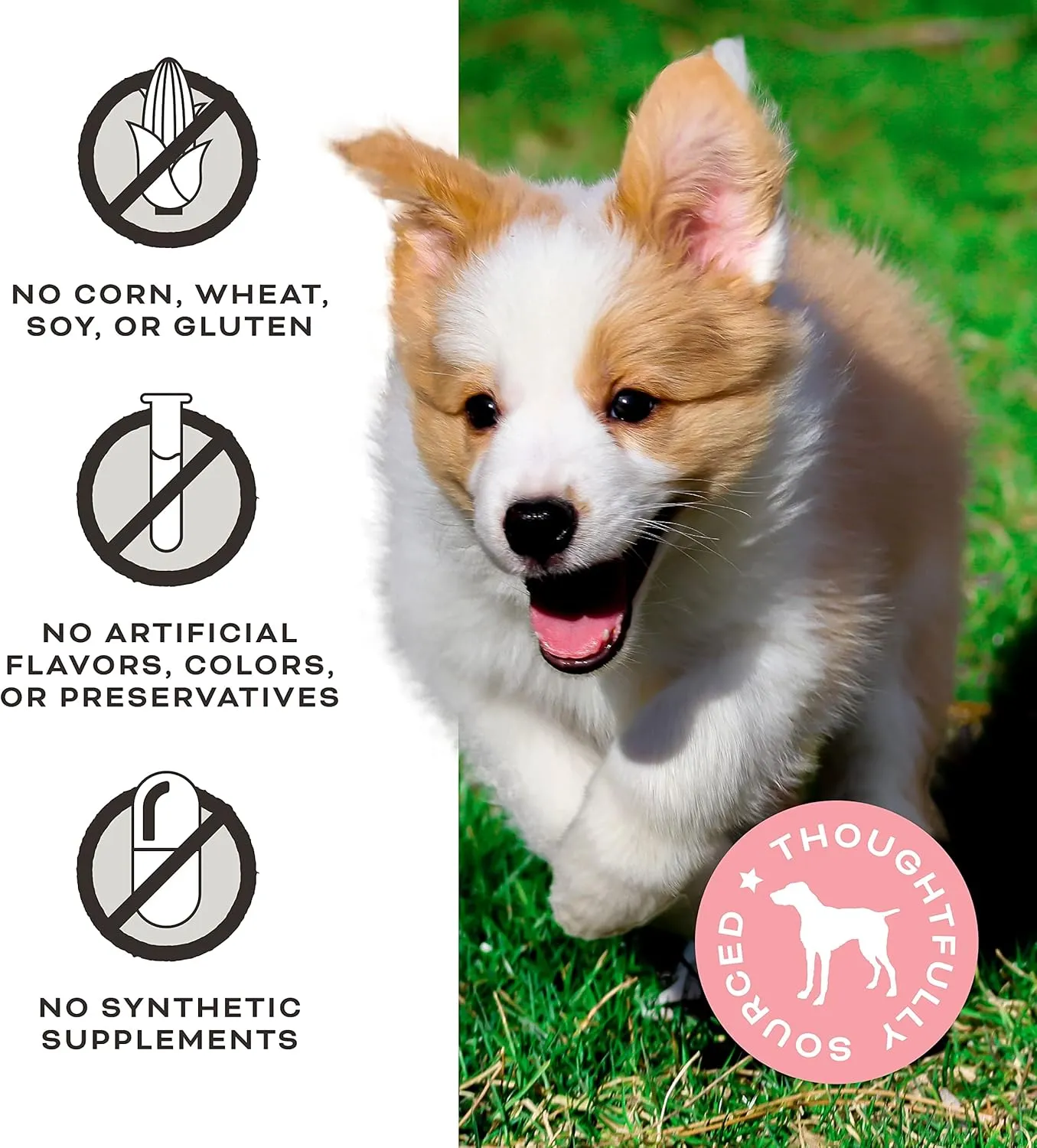 Primal Freeze Dried Dog Treats, Liver, Laugh, Love; Pork Liver with Probiotics, Crunchy Grain Free Training Treats for Dogs, 1.5 oz
