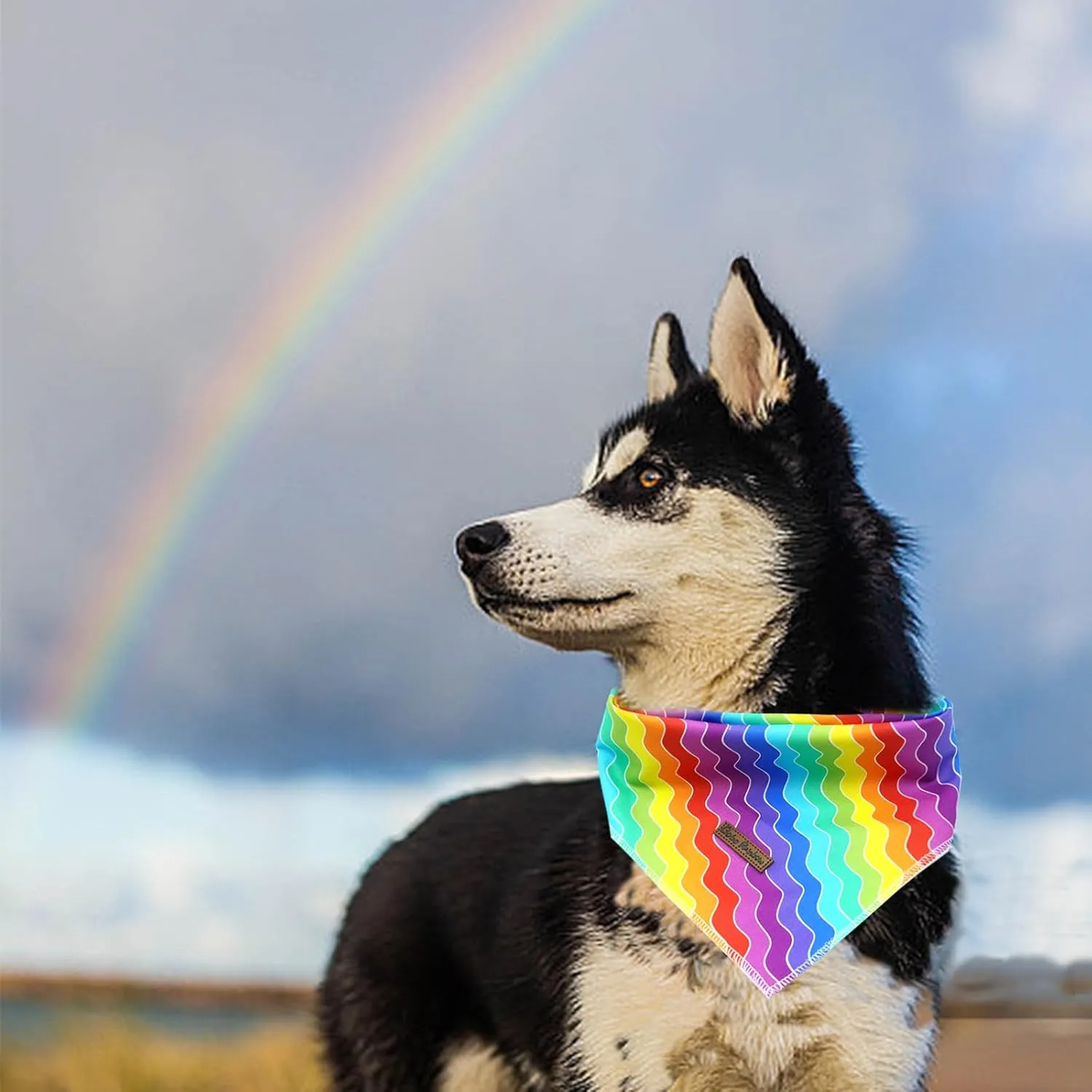 Rainbow Dog Bandana, 1PC Dog Bandanas Summer Bandanas Bibs Scarf Square Soft Dog Kerchief Pet Bandanas for Small Medium Large Dogs