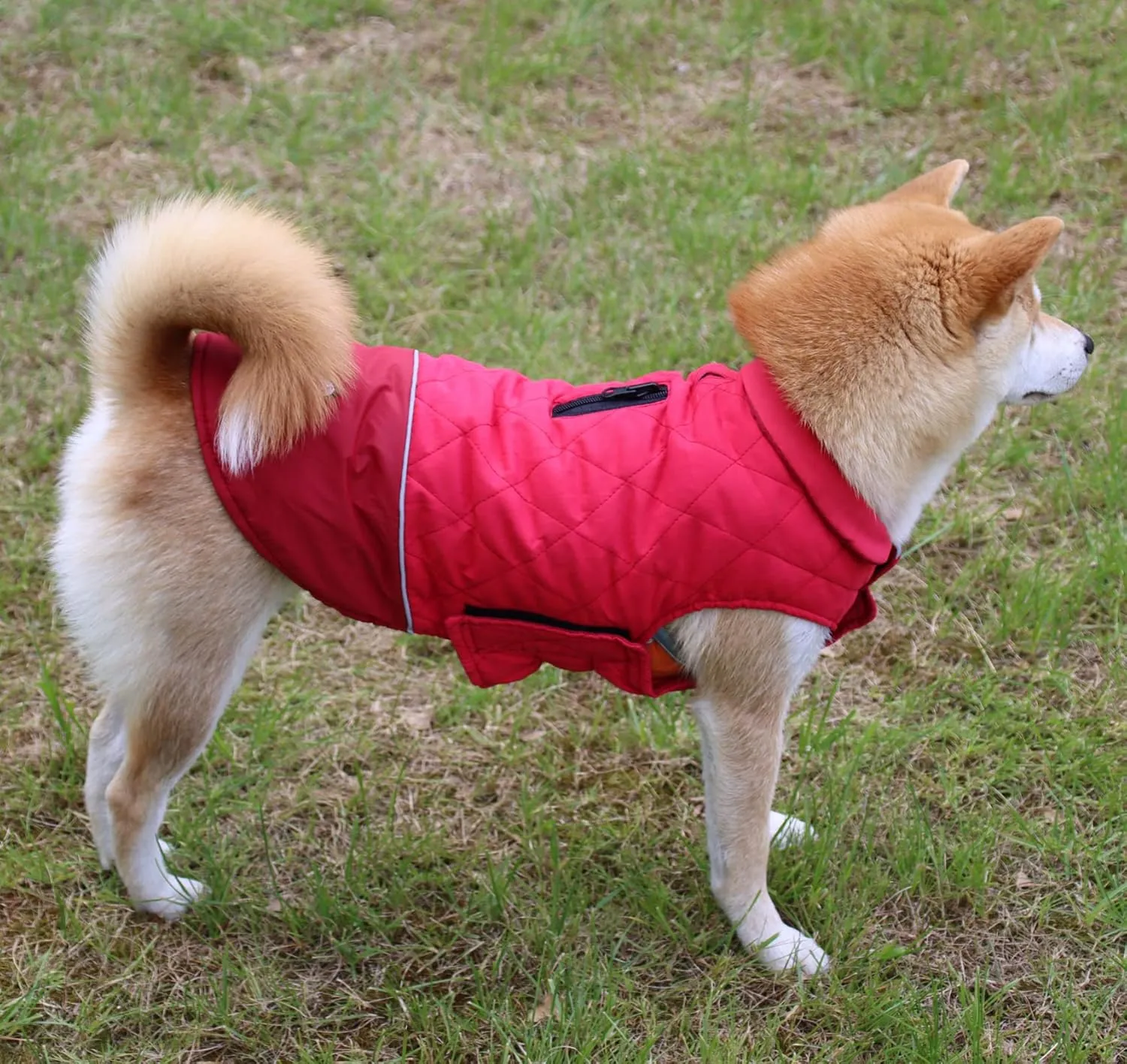 Reversible Dog Coats for Medium Dogs Waterproof Warm Dog Jacket for Cold Winter,Red L