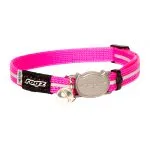 Rogz Safety Buckle Alley Cat Collar