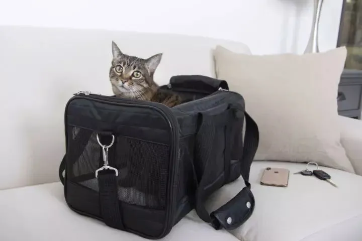 Sherpa Carrier Original Deluxe Bag