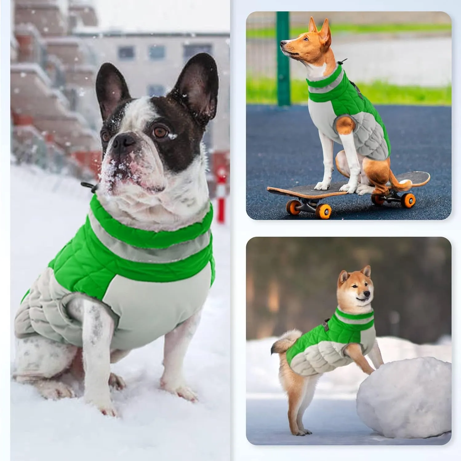 Small Dog Coat,Dog Jackets for Small Dogs,Warm Winter Jacket, Puppy Coat with Harness Built in,Waterproof Dogs Jacket,Puppy Cold Weather Coats,Pet Winter Clothes Snowsuit Shih Tzu Bichon,Green