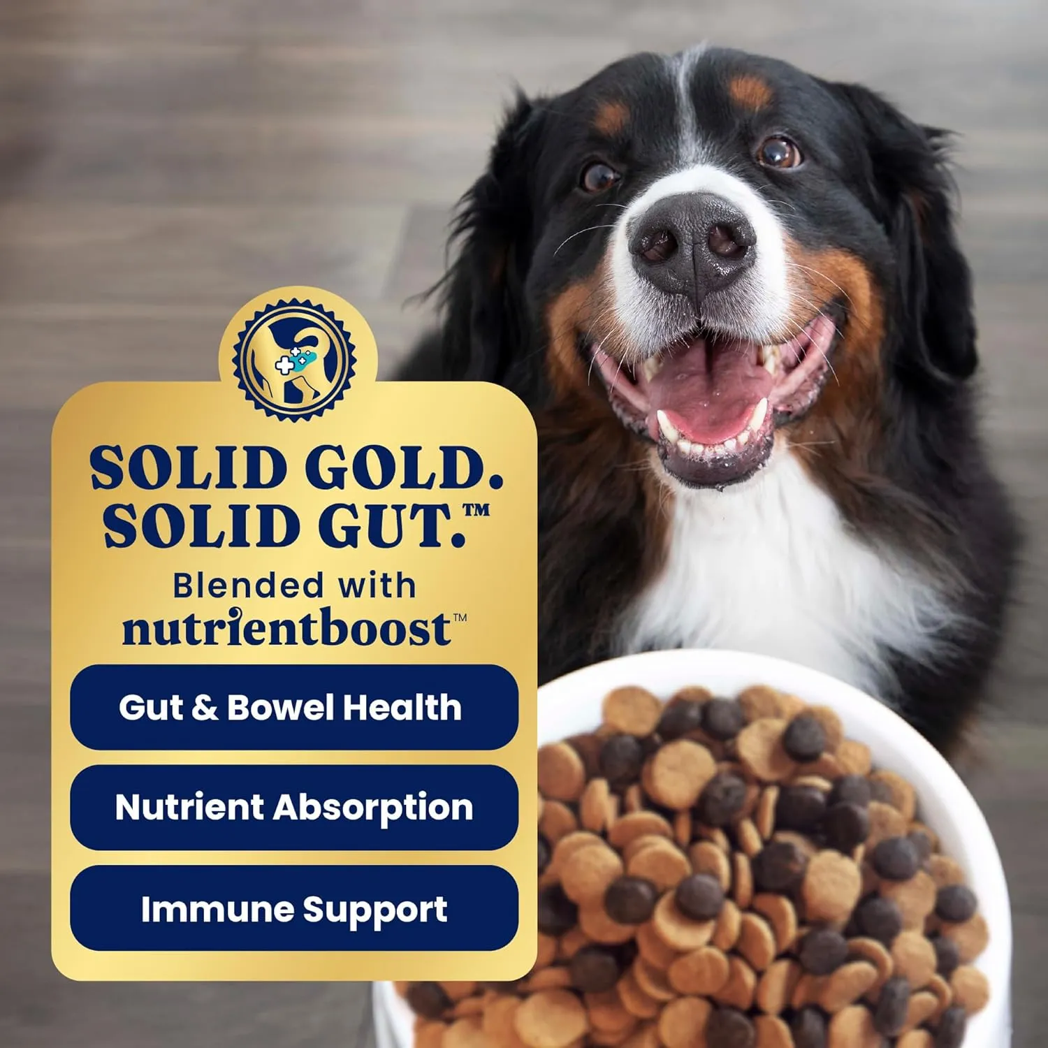 Solid Gold Dry Dog Food for Sensitive Stomach All Ages - Grain Free - w/Salmon & Vegetables - Digestive Probiotics for Gut Health - Superfood & Antioxidant Support for Dogs - Nutrientboost - 22 LB Bag