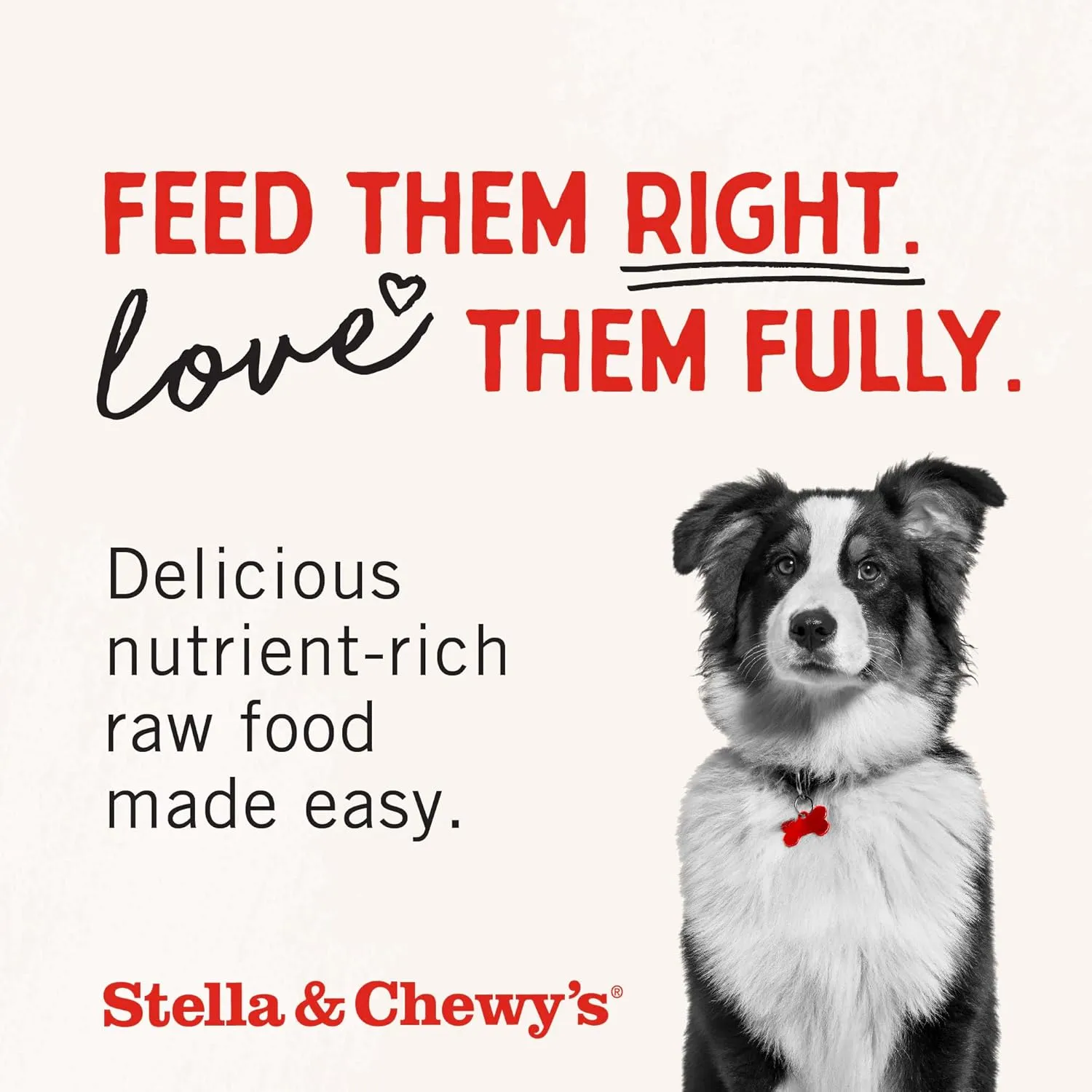 Stella & Chewy's Freeze-Dried Raw Dinner Patties - Beef Recipe - High Protein Grain-Free Puppy & Dog Food - Perfect For Picky Eaters - 25 oz