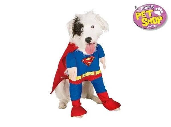 Superman Dog Costume