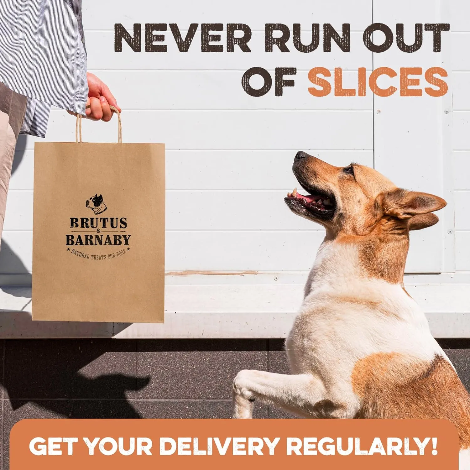 Sweet Potato Slices - Dog Treats - Single Ingredient Grain Free for Dogs, Best High Anti-Oxidant Healthy 100% Natural Thick Cut Dried Sweet Potato Dog Treats With No Added Preservatives (8oz)