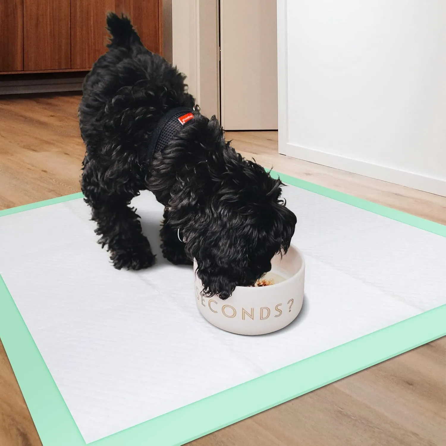Training Pad 24" X 23" Large 50 Count, 5 Layer Puppy Pee Pads, Super-Absorbent, Dog Crate Pads, New & Improved Puppy Pads