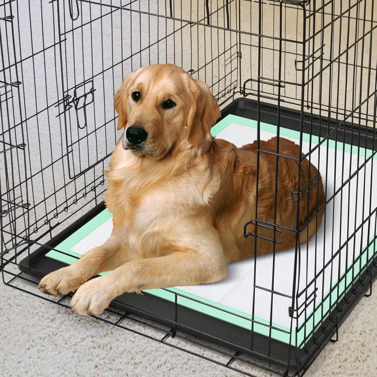 Training Pad 24" X 23" Large 50 Count, 5 Layer Puppy Pee Pads, Super-Absorbent, Dog Crate Pads, New & Improved Puppy Pads