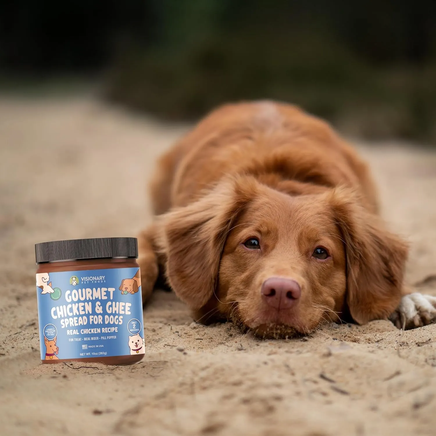 Visionary Pet Foods Chicken Meat Spread - Healthy Dog Treat - Alternative to Dog Peanut Butter, Xylitol Free, No Sugar and Filler Free - Use on Lick Mat, Food Mixer, Pill Pockets - 12oz Jar