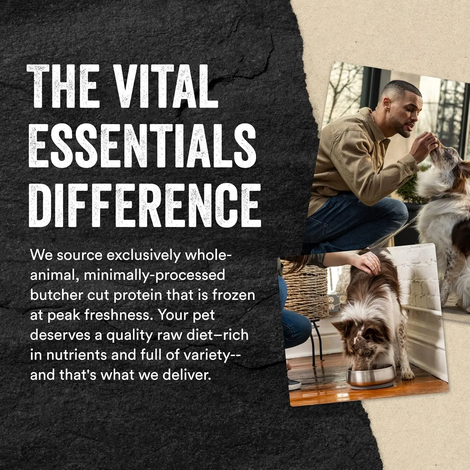 Vital Essentials Beef Bites Dog Treats, 6.2 oz | Freeze-Dried Raw | Single Protein |Premium Quality High Protein Training Treats | Grain Free, Gluten Free, Filler Free