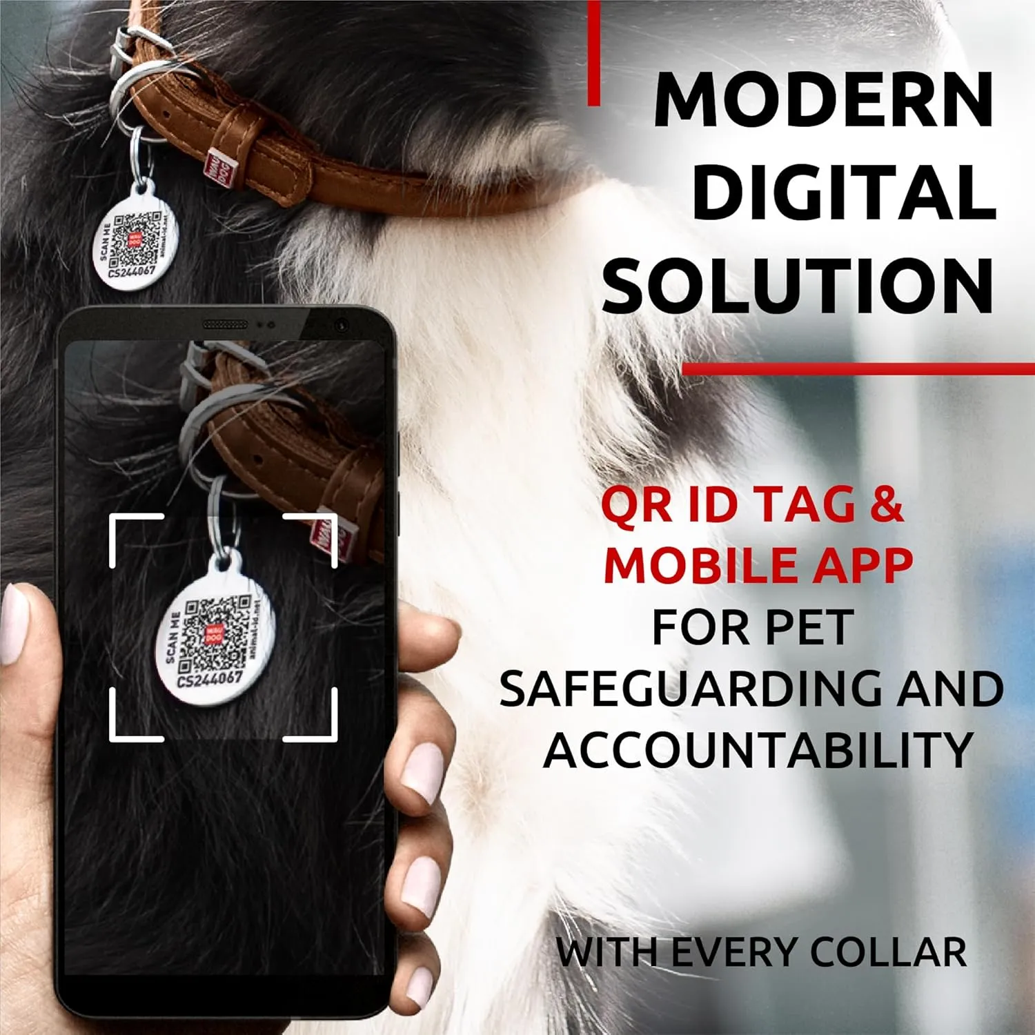 WAUDOG Ultra Soft Rolled Leather Collar - Soft Padded for Small, Medium, and Large Dogs - Puppy Collar for Male and Female Dogs