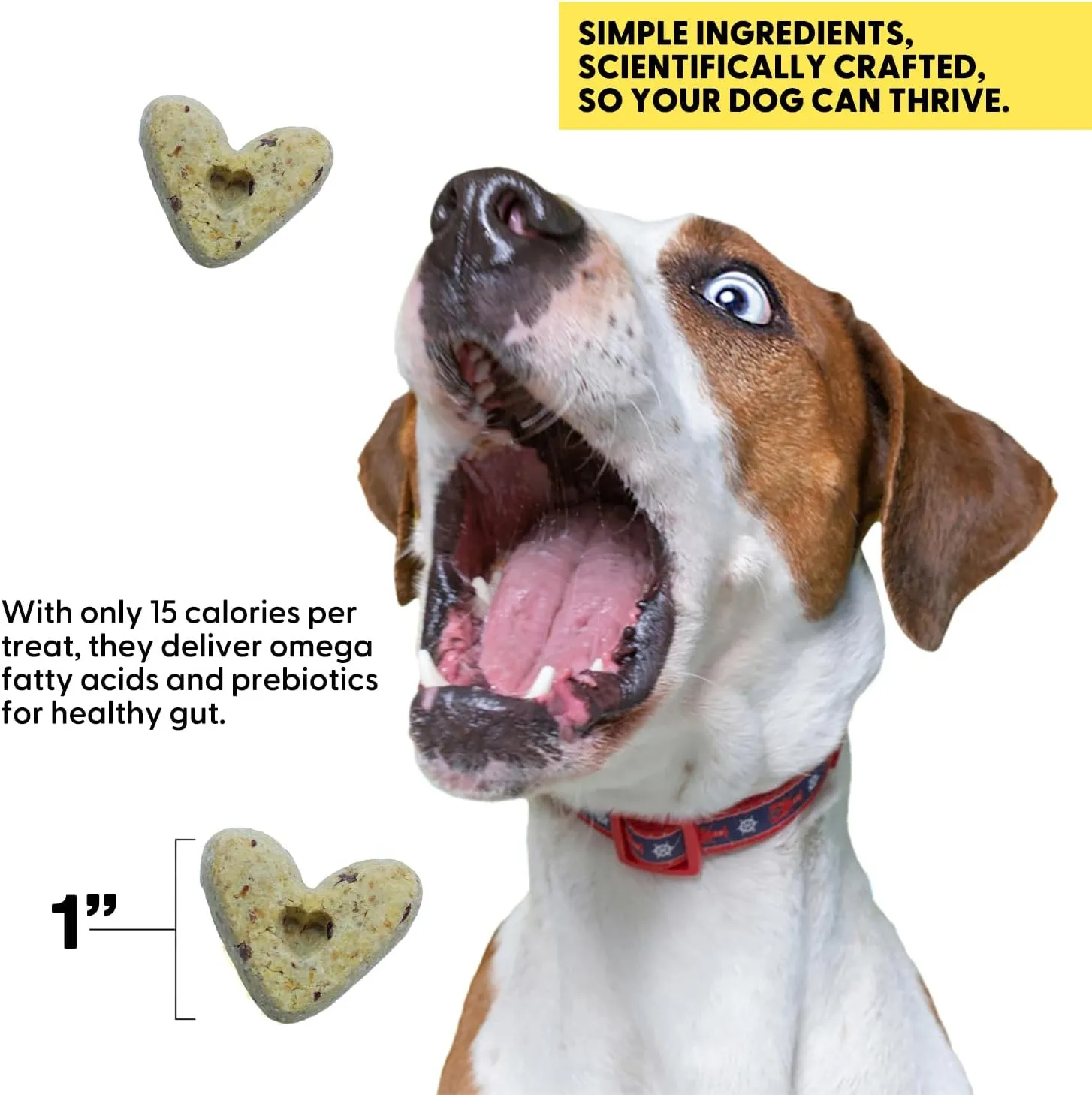Wild Earth Superfood Dog Treats, Plant Based Dog Treats with Omega Acids, Prebiotics & Koji Protein, No Fillers, Veterinarian-Developed, Banana & Cinnamon Flavor