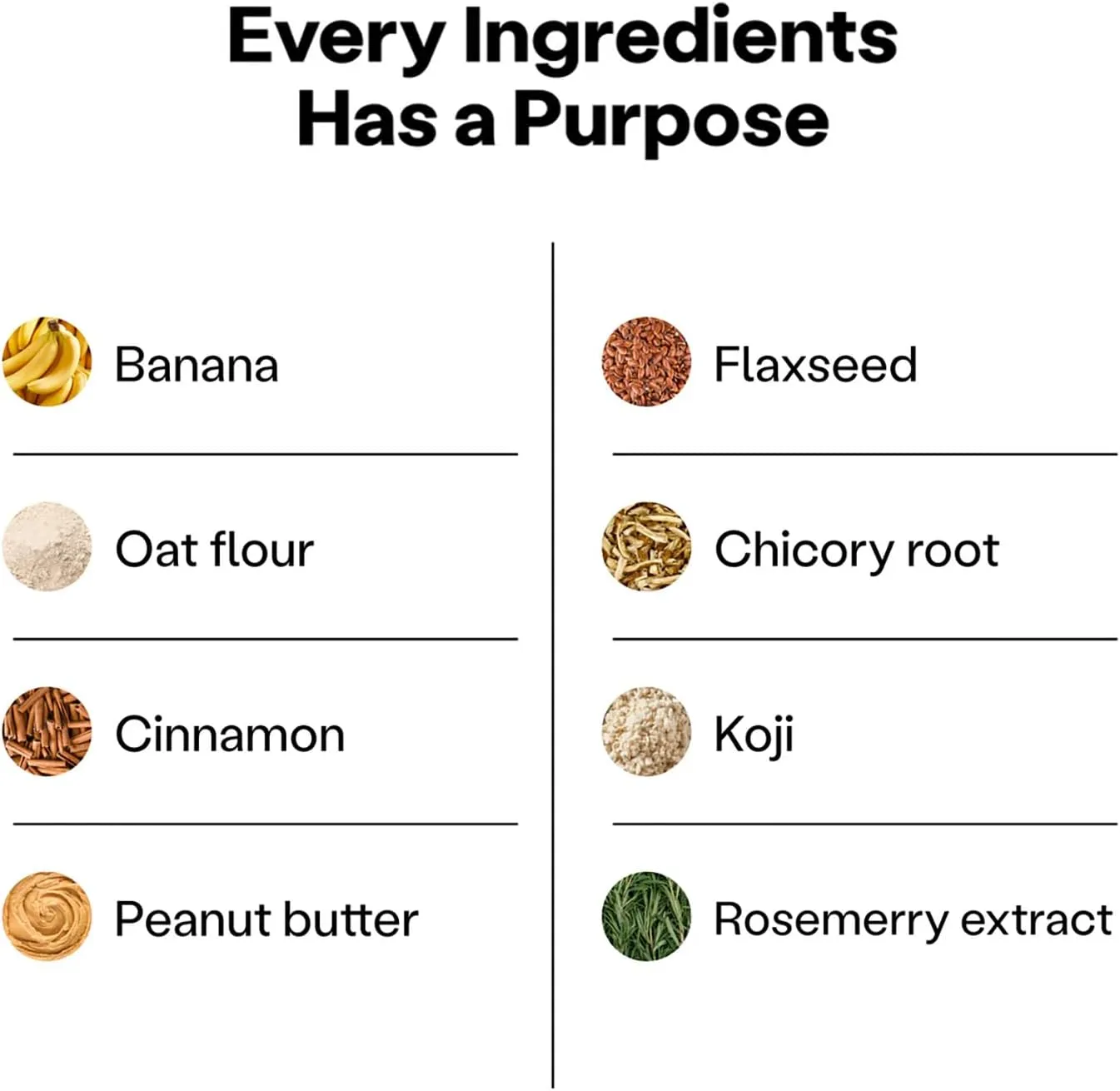 Wild Earth Superfood Dog Treats, Plant Based Dog Treats with Omega Acids, Prebiotics & Koji Protein, No Fillers, Veterinarian-Developed, Banana & Cinnamon Flavor