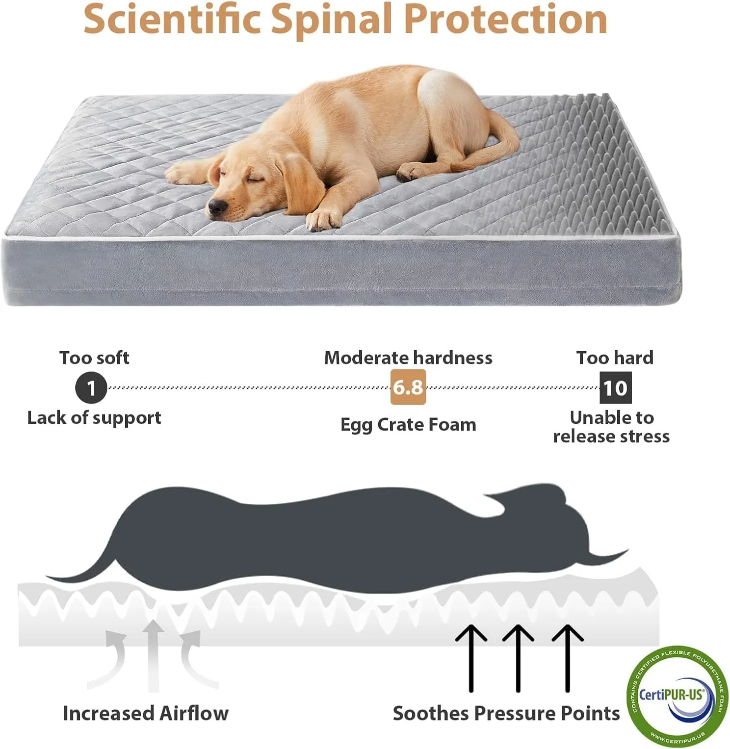 WNPETHOME Orthopedic Dog Beds for Large Dogs, Extra Large Waterproof Dog Bed with Removable Washable Cover & Anti-Slip Bottom, Egg Crate Foam Pet Bed Mat