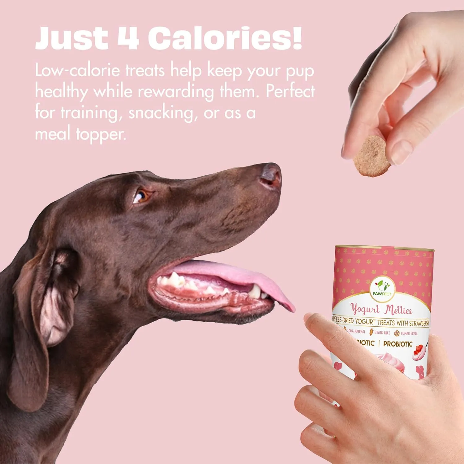 Yogurt Melties Pre and Probiotic Dog Treats - Strawberry | Healthy Gut | Low Calories | Grain & Gluten Free| Also use as reward or Training Treats (1.34oz)