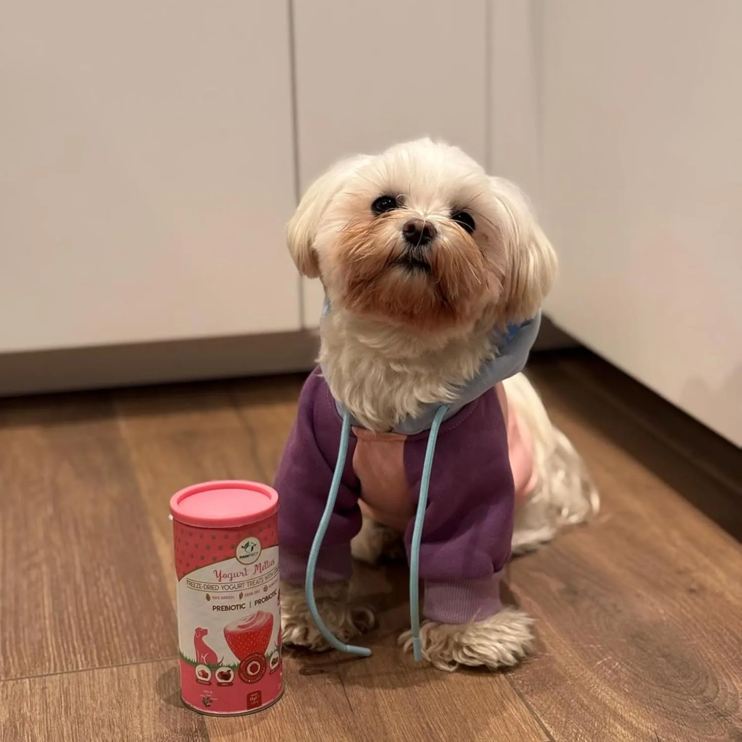 Yogurt Melties Pre and Probiotic Dog Treats - Strawberry | Healthy Gut | Low Calories | Grain & Gluten Free| Also use as reward or Training Treats (1.34oz)