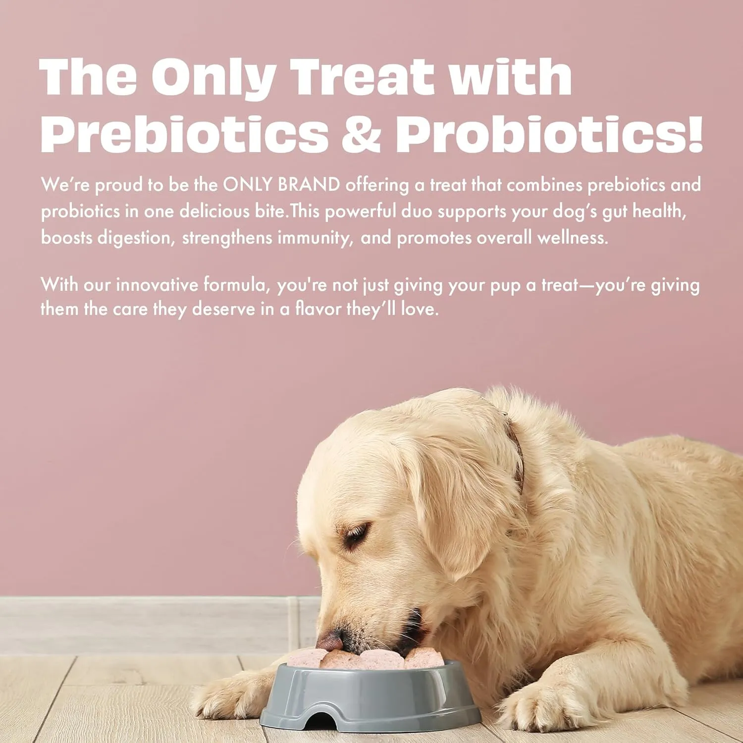 Yogurt Melties Pre and Probiotic Dog Treats - Strawberry | Healthy Gut | Low Calories | Grain & Gluten Free| Also use as reward or Training Treats (1.34oz)